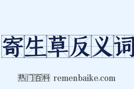 寄生草反义词是什么意思的图片